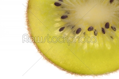 Beautiful slice of fresh juicy kiwi