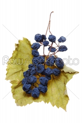 Blue grape cluster as raisin 