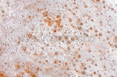 abstract close up of splash of seawater with sea foam