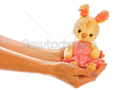 Rabbit bunny toy isolated in hand