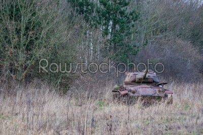 Tank in the nature