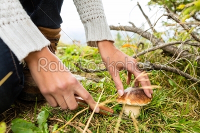 Young mushroom picker in the Bavarian alps
